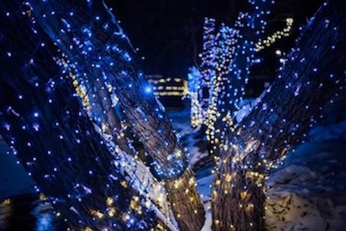 cadenas de luces led en tonalidad azul ideales para la decoración de árboles de navidad y zonas de interior y exterior	