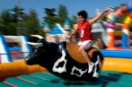 Toro Mec�nico en alquiler