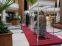 alquiler de vitrinas para eventos