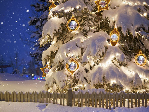 Alquiler de adornos para árboles de Navidad con fotos personalizadas