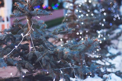 cadenas de luces led en alquiler con cable de color blanco 12 metros para decoración de árboles de navidad y espacios de interior y exterior en temporada navideña	