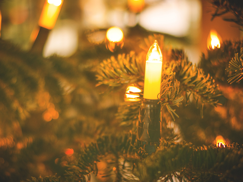 alquiler de luces navidad led brillante naranja con cable de goma 12 metros para adornar árboles de navidad y decorar eventos y celebraciones de interior y exterior