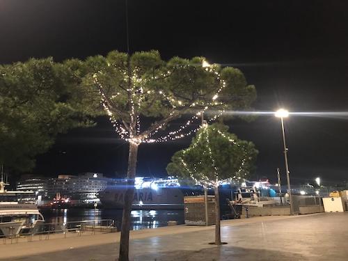alquiler iluminación LED blanco cálido para adornar árboles calles 