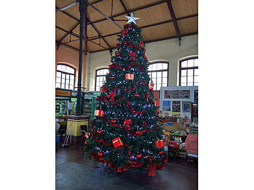 Alquiler de árbol de Navidad de 5 metros para anuncio de la Lotería