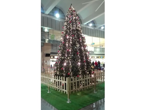 Alquiler de árboles de Navidad tradicionales verdes de 3,5 metros