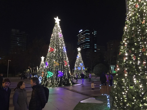 Árboles de Navidad de alquiler con luces LED y adornos personalizados