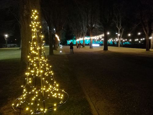 alquiler árboles de navidad con luces led tonalidad blanco cálido 1,80 altura para uso exterior