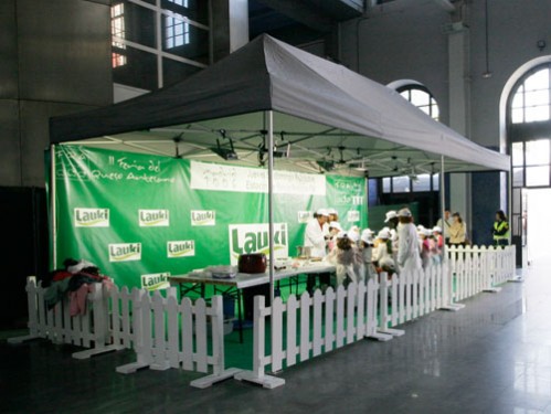 Carpa 8x4 m habilitada como Aula de Actividades Infantiles-Fondo Personalizado y Perimetro vallado