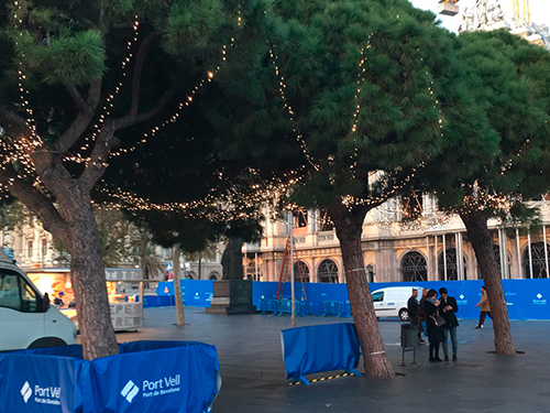 alquiler decoración con luces led copas de árboles calles