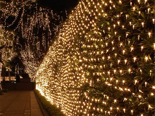 Alquiler Redes Luminosas LED para decoración exterior e interior Navidad